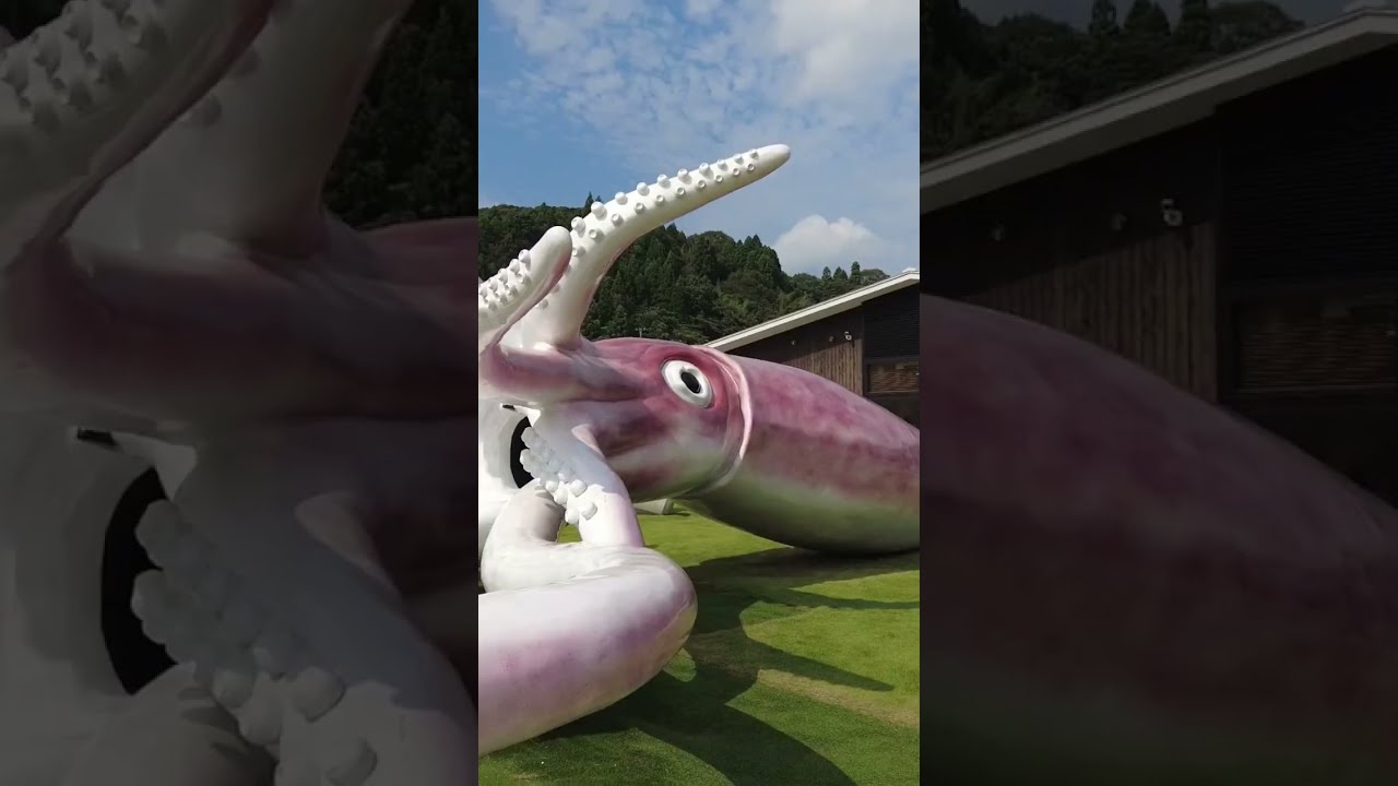 能登半島の巨大イカオブジェ「イカキング」見に行ってきた#shorts