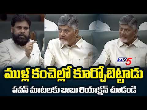 Pawan Kalyan Emotional on AP Struggles in Assembly Sessions | Jagan | TV5 News - TV5NEWS