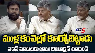 Pawan Kalyan Emotional on AP Struggles in Assembly Sessions | Jagan | TV5 News