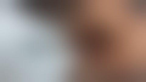 Bird digestive system