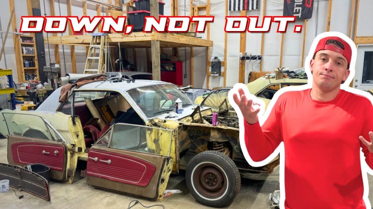 Я всё ещё здесь. Снова в магазине.