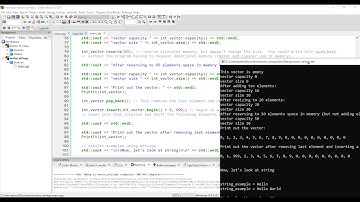 Strings and Vectors - Memory Management by Class and Additional Functions - C++ - ENGR 2304