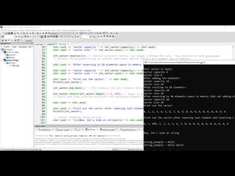 Strings and Vectors - Memory Management by Class and Additional Functions - C++ - ENGR 2304