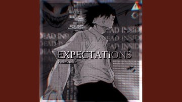 EXPECTATIONS