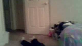 Paranormal Activity Rean Actment