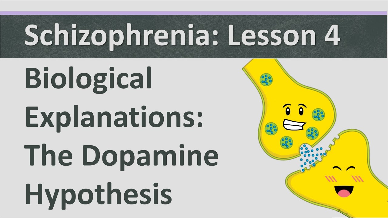what is the dopamine hypothesis regarding the origins of schizophrenia