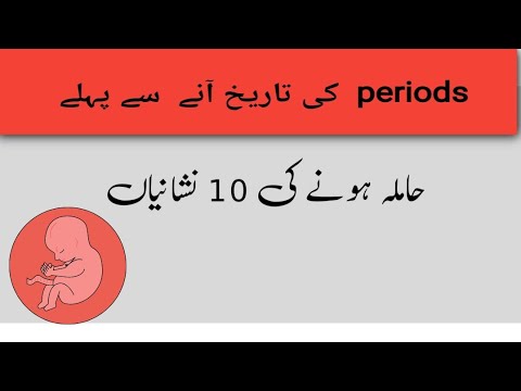 Kya Hamal Ke Duran Miya Biwi Humbistari Kar Sakte Hain | Hamla  Mufti Tariq Masood