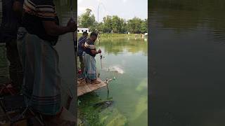দারুণ একটি রুই মাছ শিকার। 🐟🐟 #fishing #shortvideo #shots