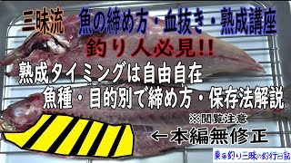 【超マニア向け】魚の熟成・締め方・血抜き・保存法の疑問を徹底解説！