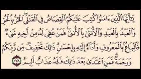 سورة البقره ايه 178- 179