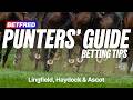 DON’T Bet Until You Watch This! | Lingfield, Haydock & Ascot Tips | Punters' Guide