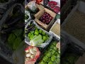 Абхазия Очамчира 2025 февраль #абхазия #абхазияотдых #очамчира