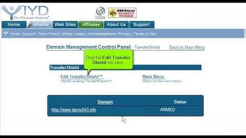 Domain Transfering from ItsYourDomain.com