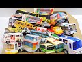 Bus ♪ Bus ♪ Bus ♪I love buses 🚌I've collected a lot of miniature buses ⭐️