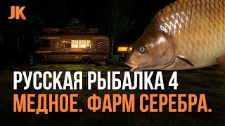 🟠🐠Озеро медное + озеро Янтарное, фарм серебра 🐠🟠Рулетка для подписчиков🟠Русская Рыбалка 4🟠#рр4