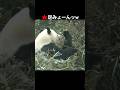 🍁あんよかゆい楓浜✨【美脚】
