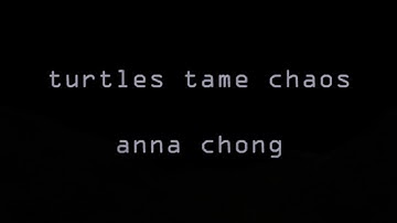 Turtles Tame Chaos Music Video by Anna Chong