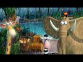 Gazoon  storm in the jungle  jungle adventure  funny animal cartoons for kids