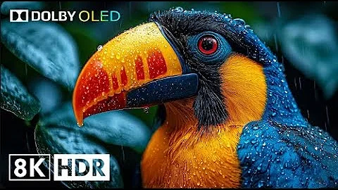 The Most Beautiful Earth Scenes Captured in 4K HDR (60FPS)