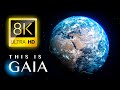 Ceci est gaia  un voyage  travers la faune de la plante terre 8k ultra  full documentaire