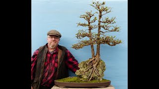 Japanese Larch Bonsai Restoration with Graham Potter  Part 1 Roots  Kaizen Bonsai