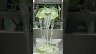 how famous Chinese healthy alovera jellywater🌊🎋is made in factory full process😱#factory#viral#shorts