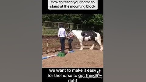 How to Teach Your Horse To Stand At The Mounting Block