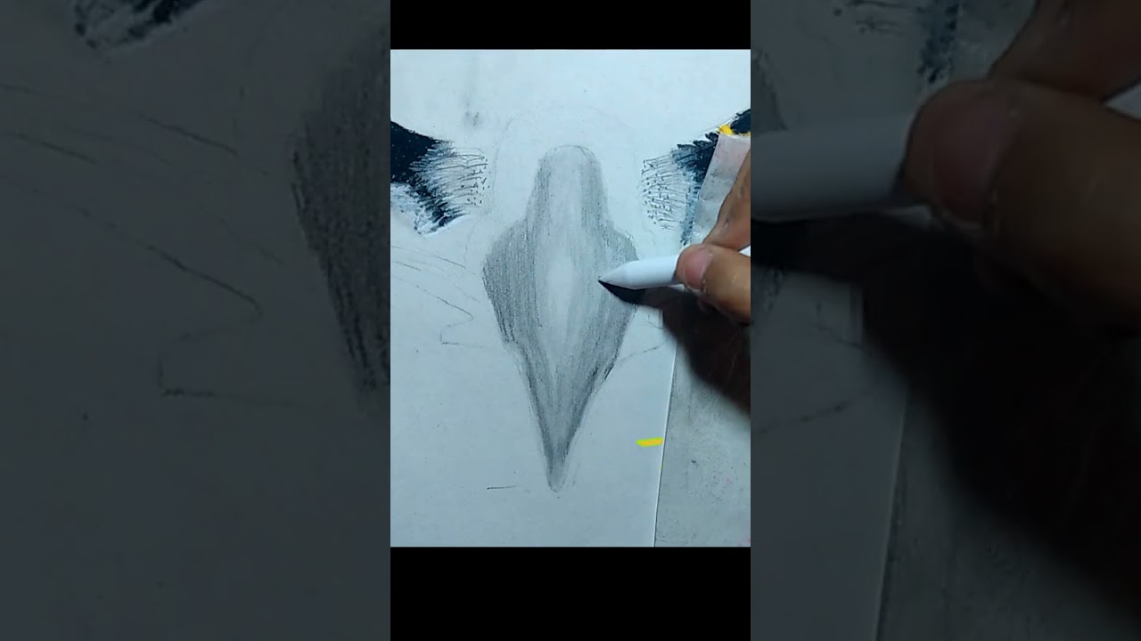 How to draw Eagle beak  