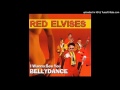 Red Elvises - 12 - All i wanna do (is make love to you)