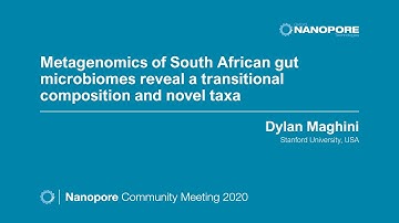Metagenomics of South African gut microbiomes reveal a transitional composition and novel taxa