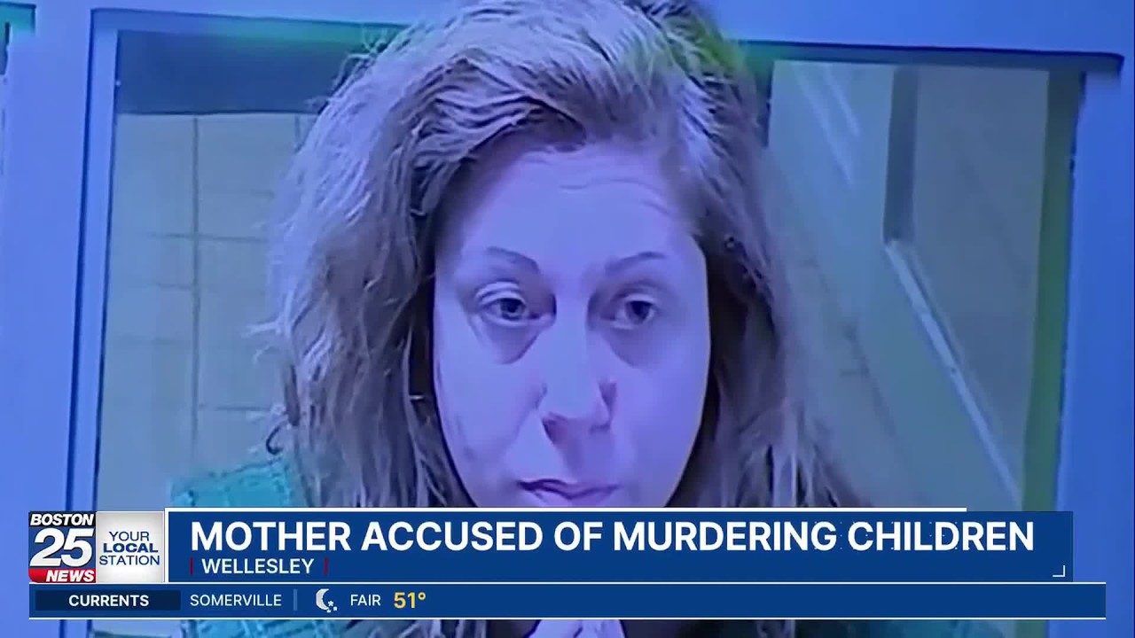 Wellesley mother accused of murdering children confessed to strangling ...