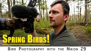 Bird Photography: Finding Early Spring Migrant Birds in The Northeast | Nikon Z9