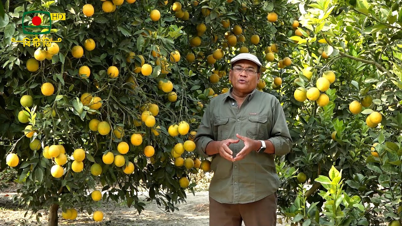 মাটি ও মানুষ- কৃষি উন্নয়ন ভিত্তিক অনুষ্ঠান