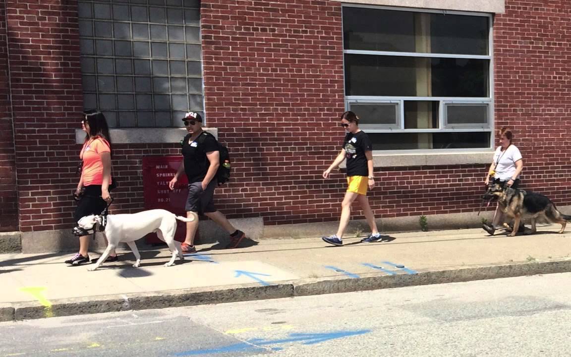 dog trainer in delhi RV Dog Training Seminar How To Dog Training