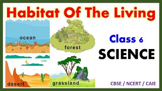 Habitat Of The Living | Class 6 : Science | CBSE / NCERT | Full Chapter Explanation | Biology