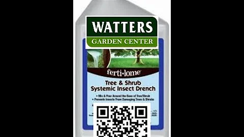 Tree and Shrub Drench