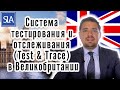 Система тестировония и отслеживания Test Trace в Великобритании Sterling Law Система тестировония и отслеживания Test Trace в Великобритании Sterling Law