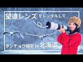 旅のカメラはレンタルする時代！超望遠レンズを借りてタンチョウを撮影してみたin北海道｜Rentio