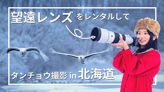 旅のカメラはレンタルする時代！超望遠レンズを借りてタンチョウを撮影してみたin北海道｜Rentio