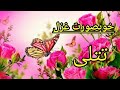 Titlii  khubsurat ghazal  by mushtaq khokhar66