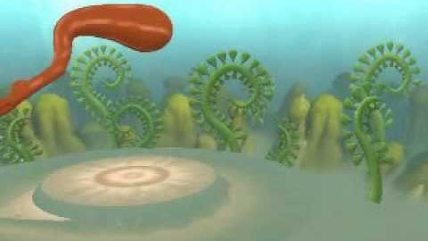 Spore cell stage part two
