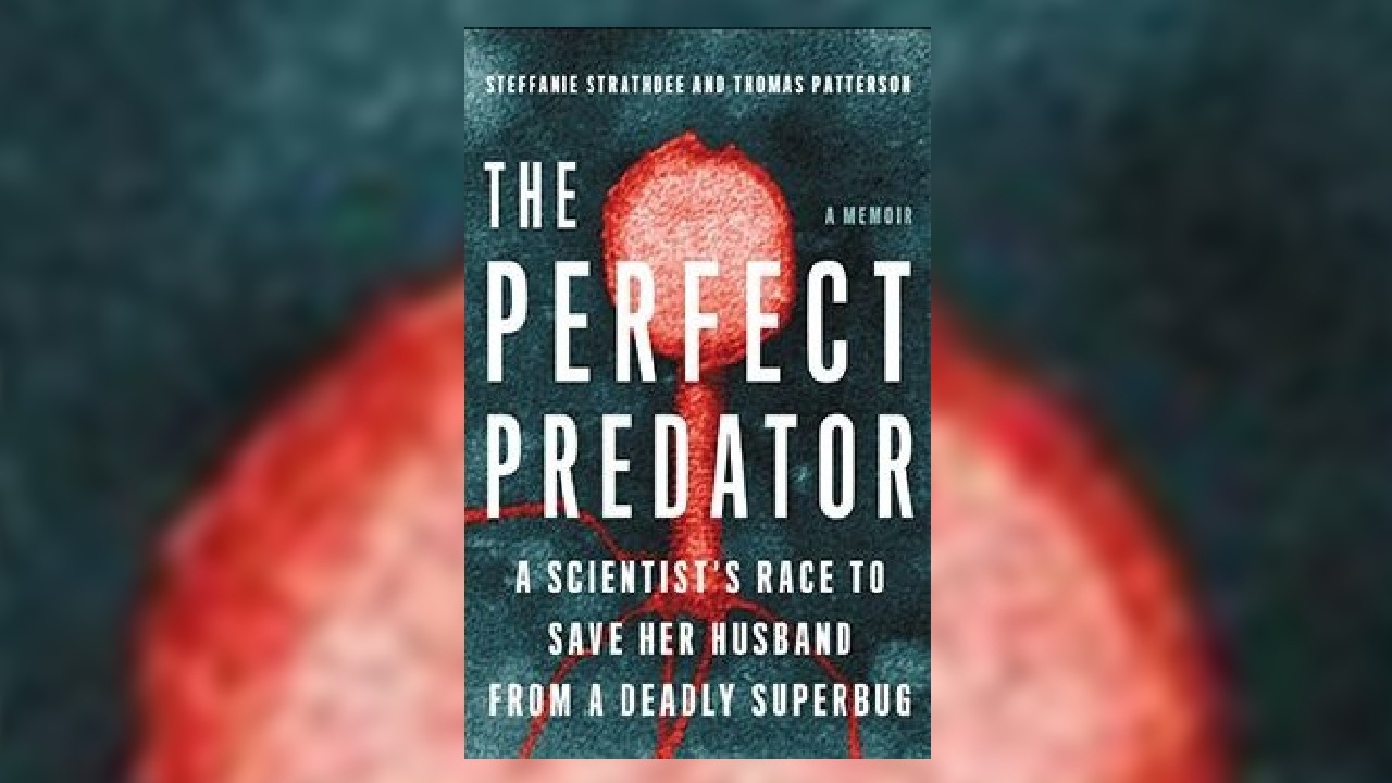 From Lab to Literature: A Conversation with Dr Steffanie Strathdee, Author: The Perfect Predator