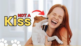 The Real Reason Dogs Lick You Is Disgusting by Dog Talks 3,105 views 2 months ago 3 minutes, 8 seconds