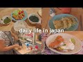 Living in Japan Daily Life Vlog 🇯🇵 Home Cooking Vlog Compilation