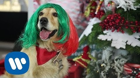 SIA – Puppies Are Forever @ Warner Music Italy