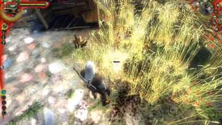 The Witcher 1 Walkthrough HD FR Part 65 : Chapitre 4 (10)