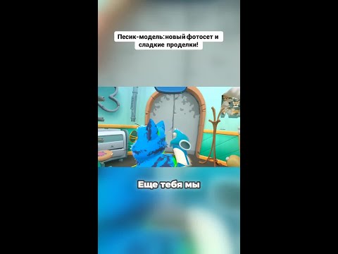 Песик-модель_ новый фотосет и сладкие проделки!