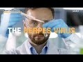 [Herpes] What is the Herpes Virus?_STD Testing_Urology in Seoul