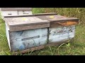 a Canadian Beekeeper’s Blog - mini rant