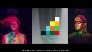 Vignette de la vidéo "Steven Wilson - What Life Brings (from the album ' The Harmony Codex' (2023)"